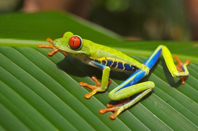 Costa Rica de Caribe a Pacífico